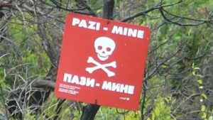 Izdahnuo je na mojim rukama: Mehmedov brat ispričao detalje tragedije - content image