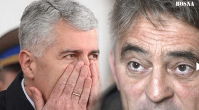 NERVOZA U ČOVIĆEVIM REDOVIMA: “Nakon mandata Željka Komšića, postoji opasnost od kandidature…” - featured image