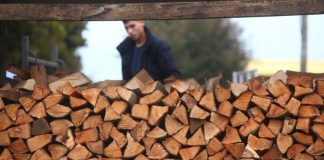 Jesen donosi nove brige: Cijene ogrjeva rastu, evo koliko koštaju drva, briketi i pelet u BiH - featured image
