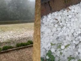 Poplave, grad veličine teniske loptice: Veliko nevrijeme uništilo bašte građanima - featured image