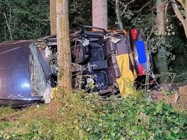 Poginula dva bračna para: Auto im sletio sa puta, zakucao se u drvo - featured image