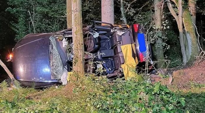 Poginula dva bračna para: Auto im sletio sa puta, zakucao se u drvo - featured image