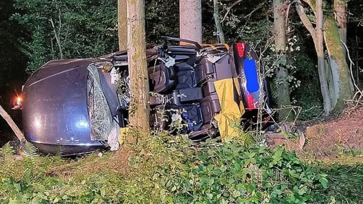 Poginula dva bračna para: Auto im sletio sa puta, zakucao se u drvo - featured image