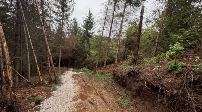 Sa svakom kišom strah od klizišta je veći: Pogledajte današnje fotografije sa Širokače - featured image