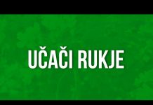 SPISAK ISPRAVNIH UČAČA RUKIJE - featured image