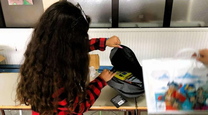 Dijaspora u školskim bh. klupama: Porodice se vraćaju u Bosnu i Hercegovinu - featured image