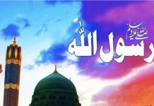 Ja Resulallah, dok muslimani širom svijeta obilježavaju tvoj rođendan, cionisti kolju najbolje pripadnike tvoga ummeta u Gazi! - featured image
