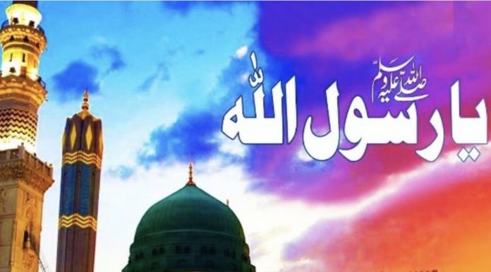 Ja Resulallah, dok muslimani širom svijeta obilježavaju tvoj rođendan, cionisti kolju najbolje pripadnike tvoga ummeta u Gazi! - featured image