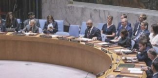 Na sjednici UN-a dogodilo se nešto intrigantno: Zapad je ismijavao Željku, dok je Srbija bila potresena. A onda se dogodilo nešto neočekivano što je dodatno začinilo situaciju. - featured image