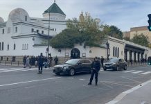 Svinjske glave postavljene ispred džamija u Parizu i okolici - featured image