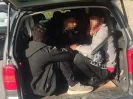 U BiH pokušano krijumčarenje devet maloljetnih migranata iz Egipta - featured image