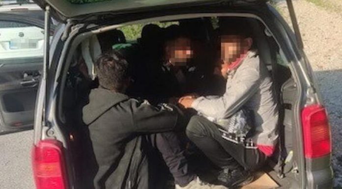 U BiH pokušano krijumčarenje devet maloljetnih migranata iz Egipta - featured image
