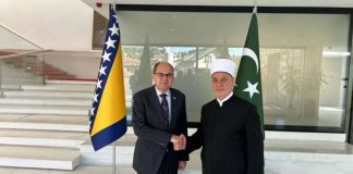 O čemu su razgovarali Schmidt i reis Kavazović? - featured image