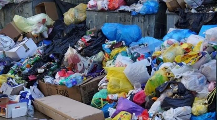 Ružna slika se šalje iz bh. grada: Prikupljanje otpada mora početi pod hitno - featured image