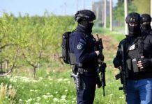 Pala grupa iz Srbije koja je ostavljala svinjske glave pred džamijama u Berlinu i Parizu - featured image