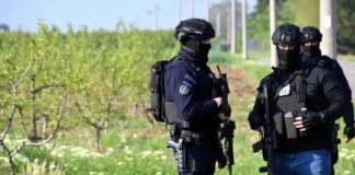 Pala grupa iz Srbije koja je ostavljala svinjske glave pred džamijama u Berlinu i Parizu - featured image