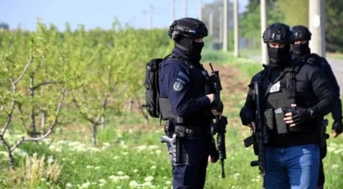 Pala grupa iz Srbije koja je ostavljala svinjske glave pred džamijama u Berlinu i Parizu - featured image