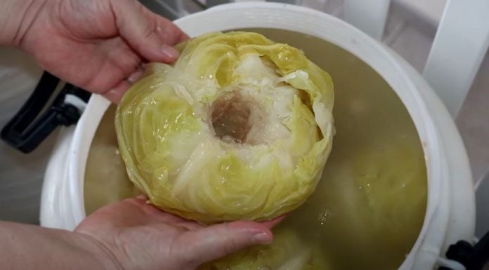 Tajna naših nana: U kiseli kupus obavezno dodajte ovaj sastojak - featured image