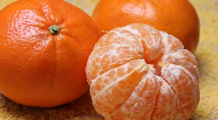 Ova dva organa su posebno pogođena: Evo ko smije, a ko ne smije jesti mandarine Ova dva organa su posebno pogođena: Evo ko smije, a ko ne smije jesti mandarine - featured image