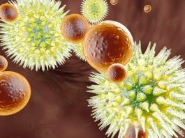 Europom hara 'Frankenstein': Ovako ćete prepoznati simptome nove varijante COVID-19 - featured image