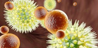 Europom hara 'Frankenstein': Ovako ćete prepoznati simptome nove varijante COVID-19 - featured image