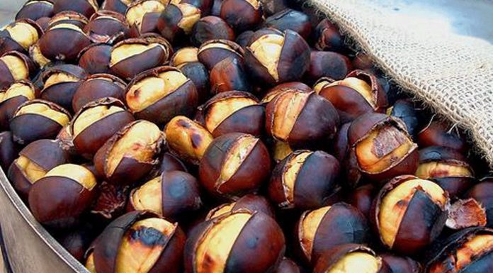 Pečeni kesteni će biti mekani i jednostavni za guljenje uz samo jedan trik Pečeni kesteni će biti mekani i jednostavni za guljenje uz samo jedan trik - featured image