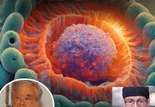 Božanska mudrost potvrđena naukom