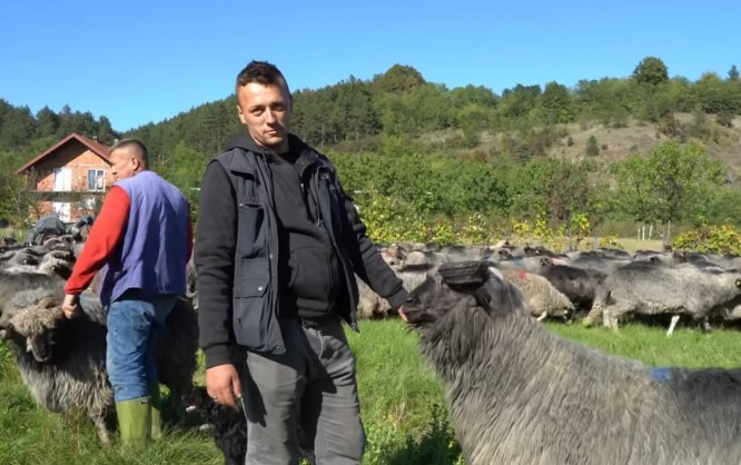 Napustio Švicarsku nakon 40 dana i vratio se svojim ovcama u BiH (VIDEO) - featured image