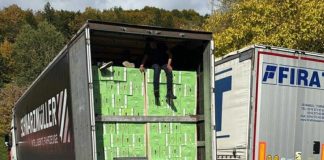 Bh. kamiondžija herojskim potezom spriječio bijeg migranata: Sam pozvao policiju i čuvao zatvorenu prikolicu - featured image