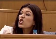 Sanja Vulić: “Dodik je naš predsjednik, a vi svirajte Schmidtu” - featured image