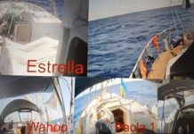 Prijenos uživo na YouTubeu: Flotila Sumud sve bliže Gazi, vijori se i zastava BiH - featured image