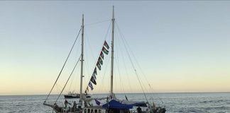 Aktivisti ne odustaju: Devet brodova humanitarne flotile nastavlja put ka Gazi - featured image