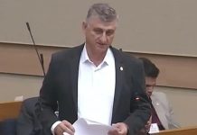 Sin poslanika SDS-a uhapšen u krađi drva - featured image