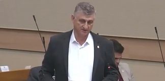 Sin poslanika SDS-a uhapšen u krađi drva - featured image