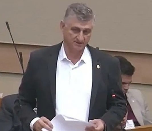Sin poslanika SDS-a uhapšen u krađi drva - featured image
