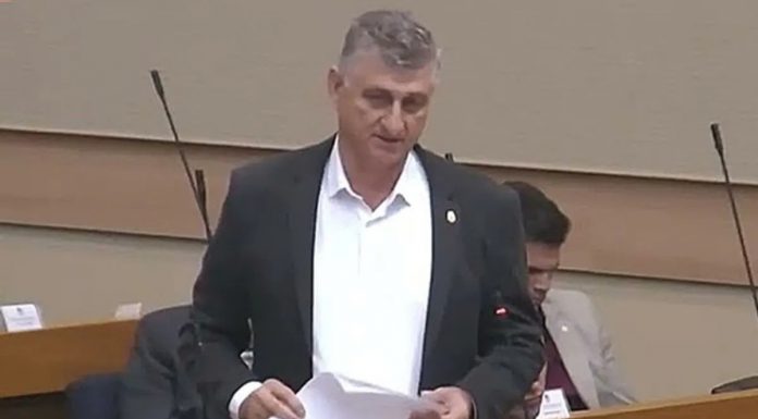Sin poslanika SDS-a uhapšen u krađi drva - featured image