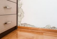 Riješite se plijesni na jednostavan način: Stručnjaci preporučuju ovaj postupak - featured image