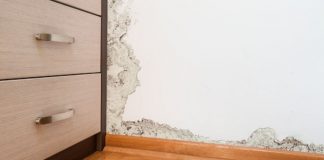 Riješite se plijesni na jednostavan način: Stručnjaci preporučuju ovaj postupak - featured image