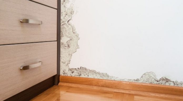 Riješite se plijesni na jednostavan način: Stručnjaci preporučuju ovaj postupak Riješite se plijesni na jednostavan način: Stručnjaci preporučuju ovaj postupak - featured image