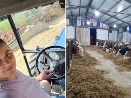 Zineta ustaje u 5, ima 60 krava, vozi traktor i freza: U grad ne bih nikada - featured image