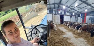 Zineta ustaje u 5, ima 60 krava, vozi traktor i freza: U grad ne bih nikada - featured image