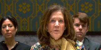 Amerika u Vijeću sigurnosti otkrila zašto je povukla sankcije Dodiku! - featured image