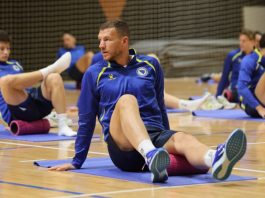 Kratko, ali upečatljivo: Poruka Edina Džeke "zapalila" bh. navijače - featured image