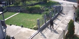 Porodična drama u Kalesiji: Bratiću oštetio kuću, polupao mu prozore i vrata - featured image