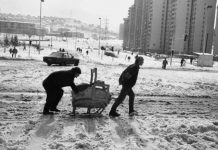 Svjetski mediji pišu o Sarajevo Safariju: “Stranci su pucali na djecu i starce iz zabave” Svjetski mediji pišu o Sarajevo Safariju: "Stranci su pucali na djecu i starce iz zabave" - featured image