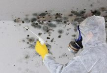 Riješite se buđi za par trenutaka: Dovoljno je da koristite ovo - featured image