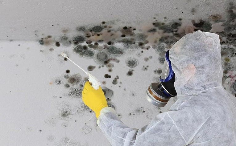 Riješite se buđi za par trenutaka: Dovoljno je da koristite ovo - featured image Riješite se buđi za par trenutaka: Dovoljno je da koristite ovo - featured image