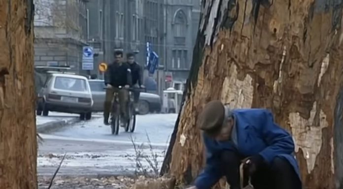 Bursać: “Cjenovnik smrti”- Kako su Italijani plaćali da pucaju po djeci Sarajeva Bursać: "Cjenovnik smrti"- Kako su Italijani plaćali da pucaju po djeci Sarajeva - featured image