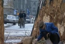 Bursać: “Cjenovnik smrti”- Kako su Italijani plaćali da pucaju po djeci Sarajeva Bursać: "Cjenovnik smrti"- Kako su Italijani plaćali da pucaju po djeci Sarajeva - featured image