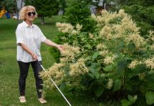 Prevarom šokirala sve: 28 godina se pravila da je slijepa iz bizarnog razloga - featured image